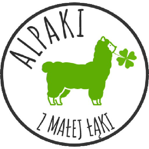 Alpaki z Małej Łąki