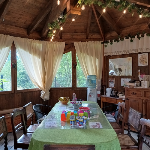 Stół zastawiony na urodziny z alpakami.