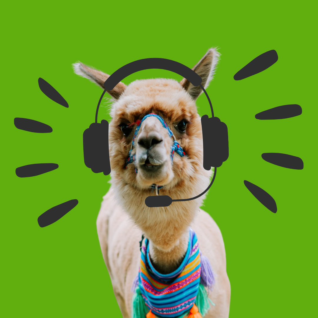 Kontakt do zagrody z Alpakami.