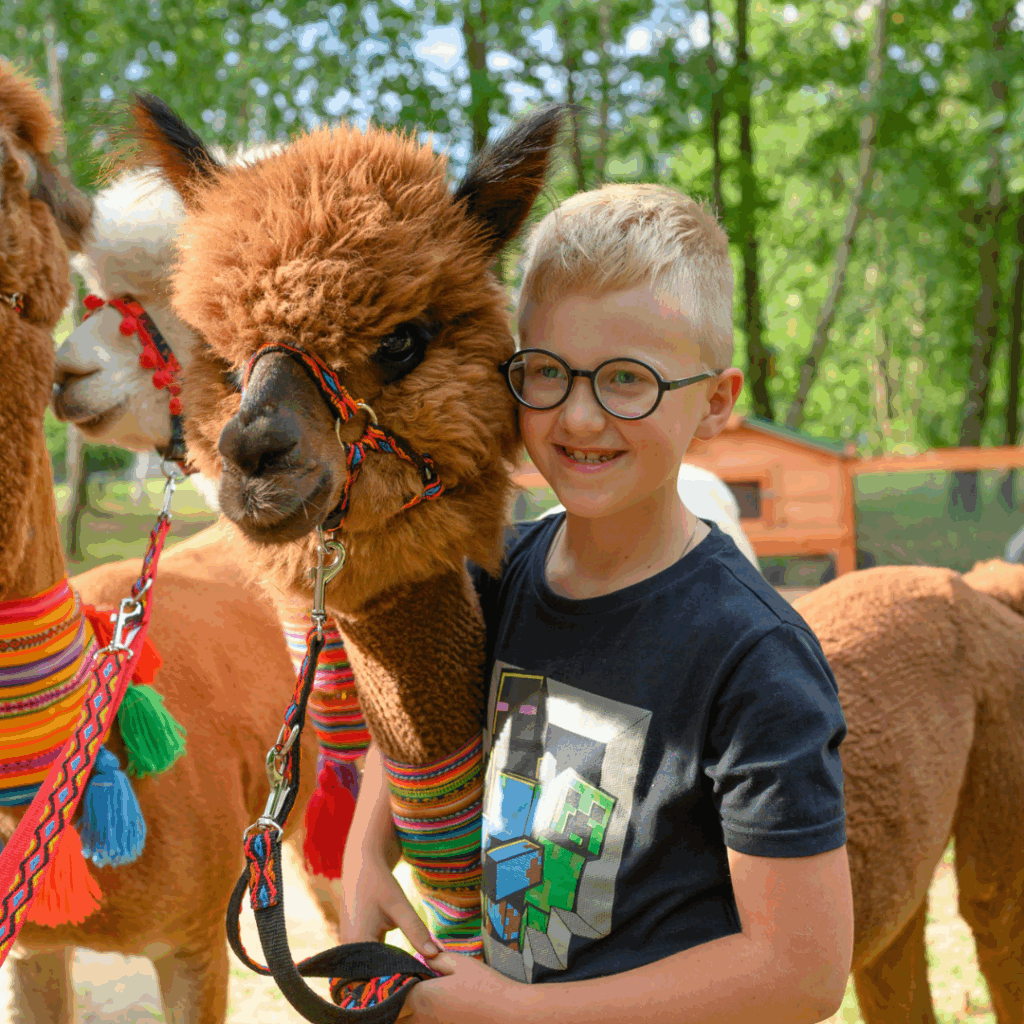 Dziecko przytulające alpakę.