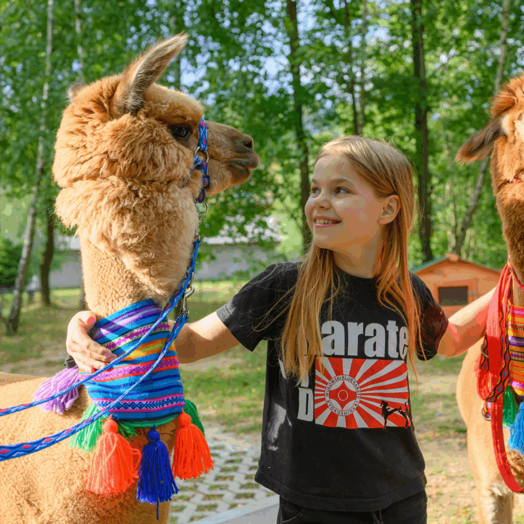 Dziewczynka patrzy na Alpakę.