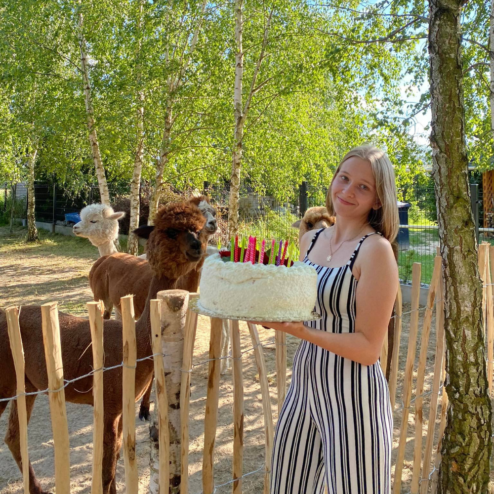 Urodziny z alpakami.