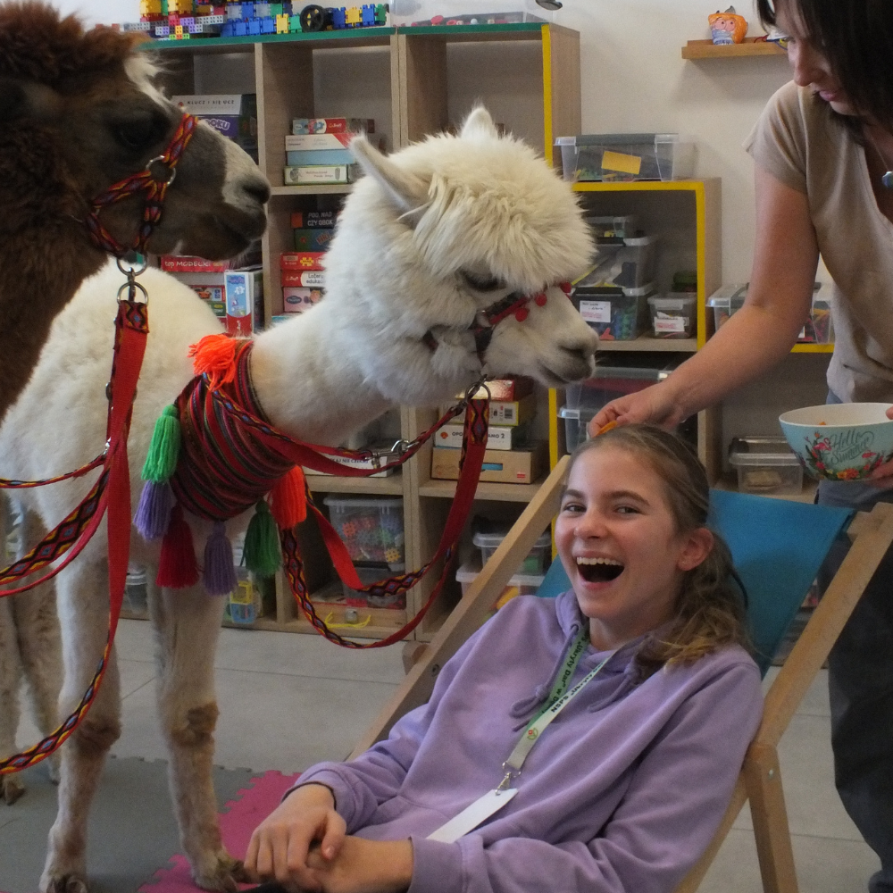 Uśmiechnięte dziecko w trakcie alpakoterapii.